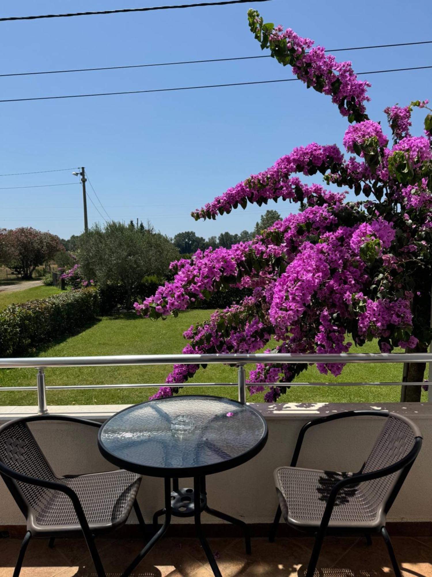 Sunrise House Apartments Ulcinj Zewnętrze zdjęcie
