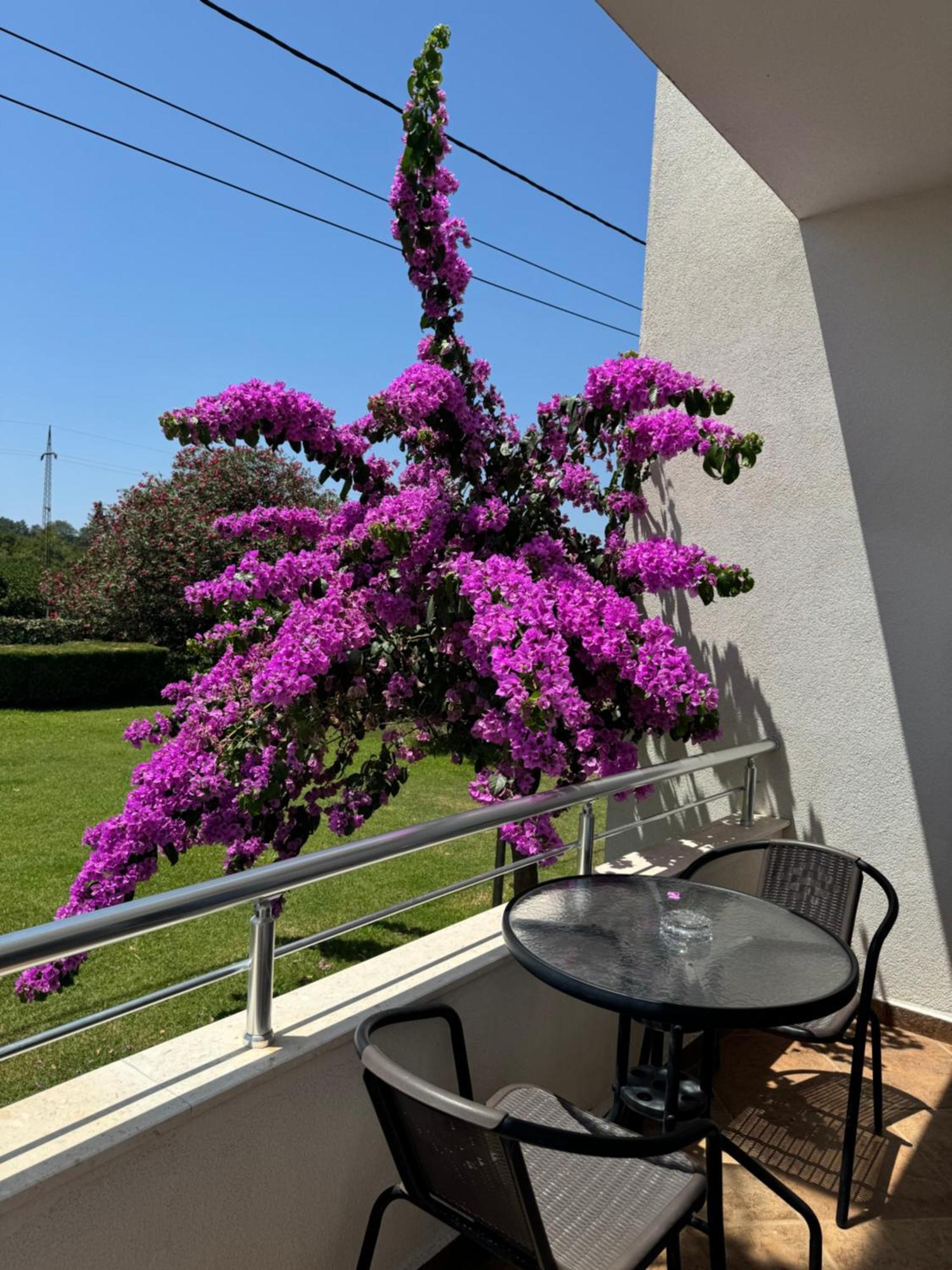 Sunrise House Apartments Ulcinj Zewnętrze zdjęcie